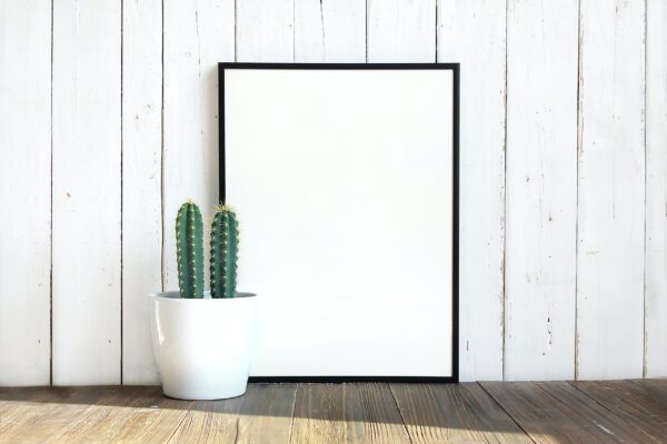 Frame and potted cactus