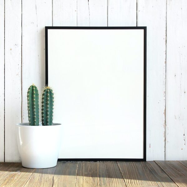 Frame and potted cactus